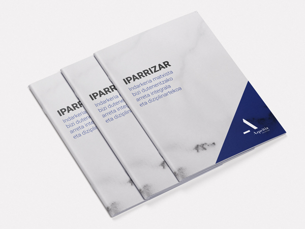 Ayuntamiento de Azpeitia - Informe